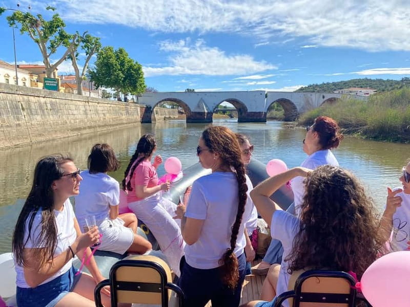 From Lagoa: Visit Silves Town by Boat with Hop Off & Hop On - Birdwatching along the Arade estuary