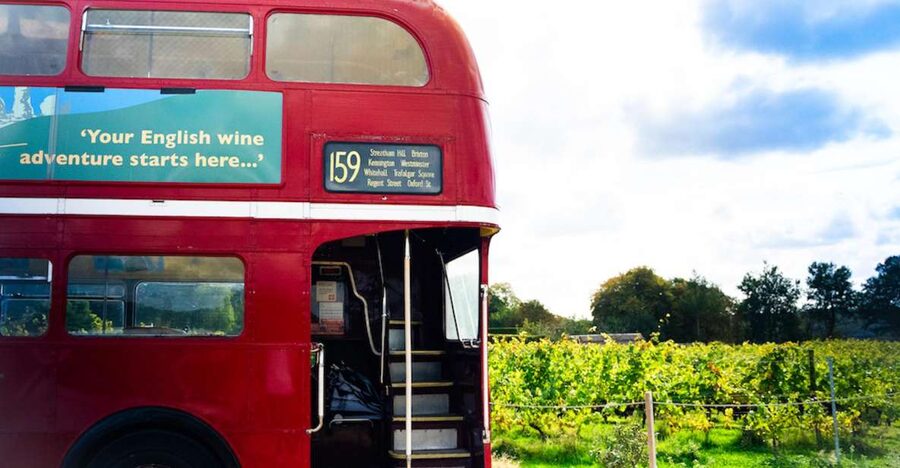From London: Vintage Bus Wine Tour with Return Train Tickets - Eight tastings give you a useful Sussex comparison