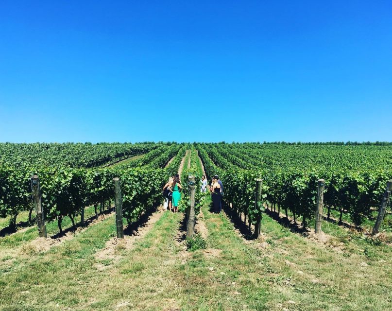 From London: Vintage Bus Wine Tour with Return Train Tickets - The South Downs scenery is part of the experience