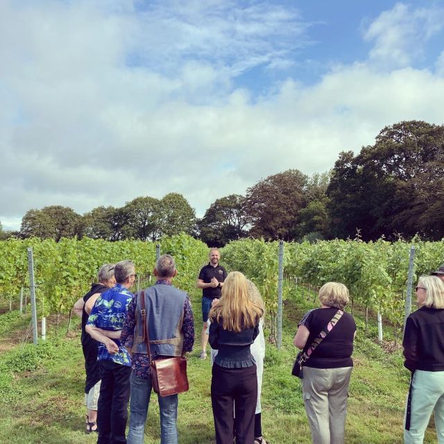 From London: Vintage Bus Wine Tour with Return Train Tickets - Is $214 fair for a full day from London?
