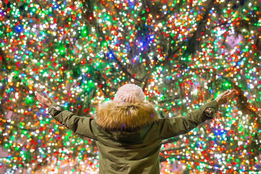 From Manhattan: 4-Hour Christmas Lights Luxury Bus Tour - Crossing into Brooklyn and reaching Dyker Heights