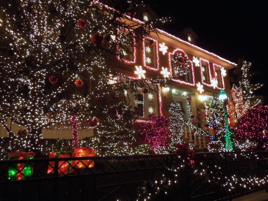 From Manhattan: 4-Hour Christmas Lights Luxury Bus Tour - Brooklyn Bridge Park and the Manhattan skyline