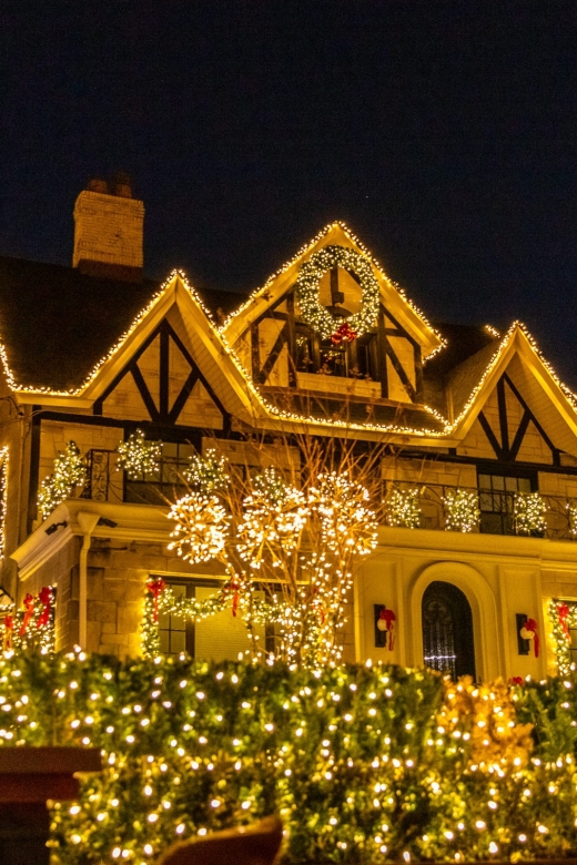From Manhattan: 4-Hour Dyker Heights Holiday Lights Bus Tour - Who should take this tour?