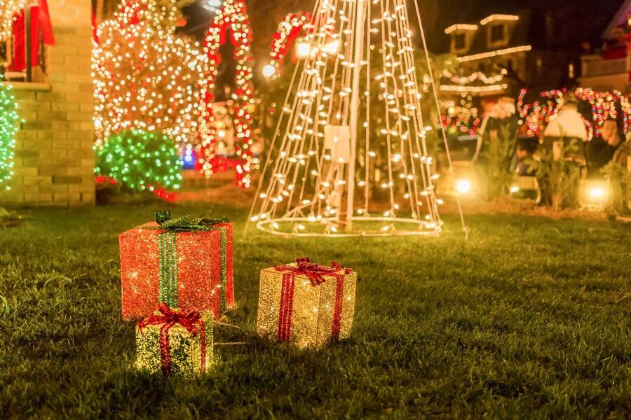 From Manhattan: Dyker Heights Lights & Skyline Tour - Key points to know before booking