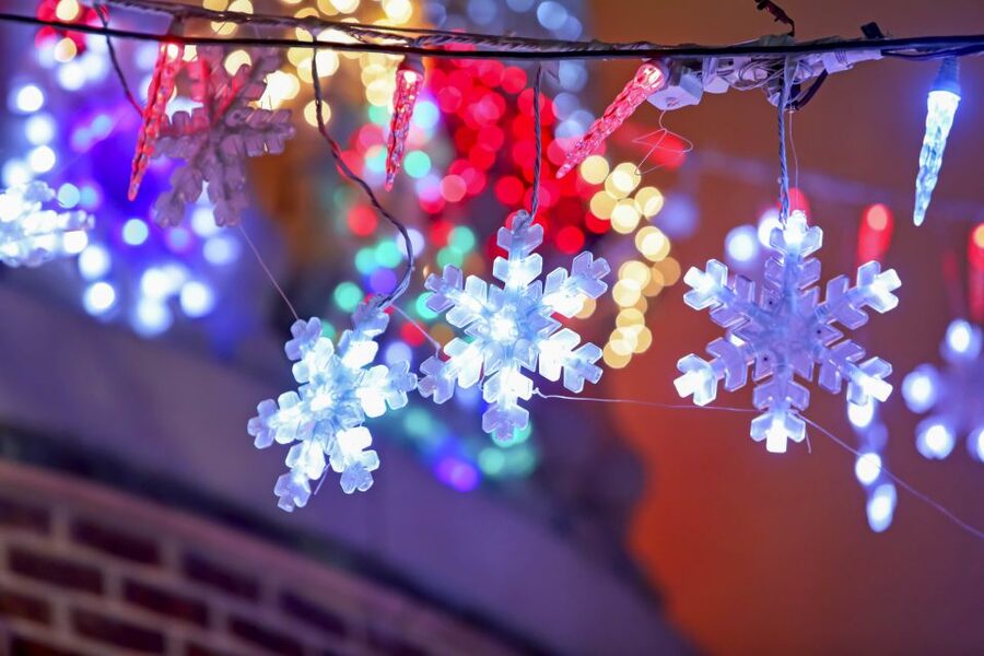 From Manhattan: Dyker Heights Lights & Skyline Tour - Should you book the Dyker Heights tour?