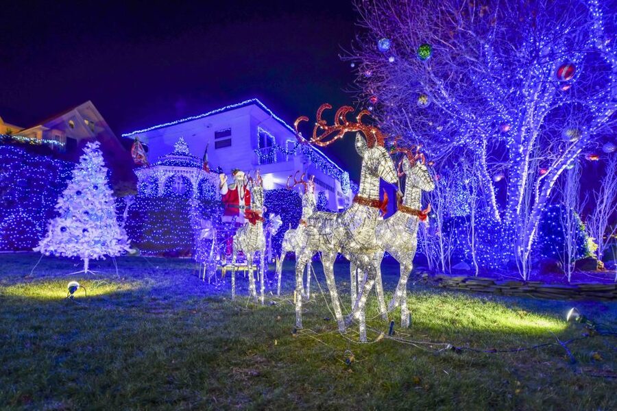 From Manhattan: Dyker Heights Lights & Skyline Tour - The practical value of taking the bus