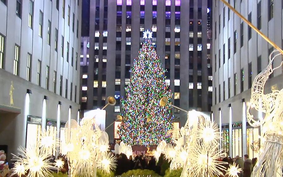 From Manhattan: Dyker Heights Lights & Skyline Tour - Weather, crowds, and what to wear