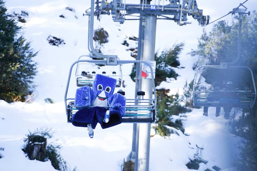 From Melbourne: Day Trip to Mt Buller by Premium Tour Coach - Key points to know before booking