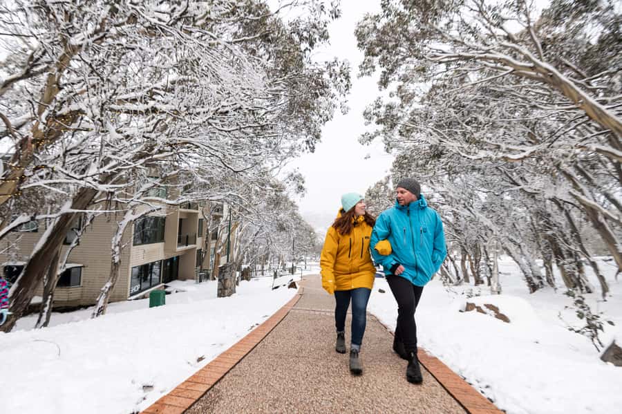 From Melbourne: Day Trip to Mt Buller by Premium Tour Coach - My verdict on the $105 Mt Buller coach trip