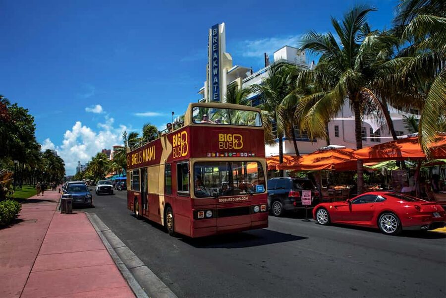 From Miami: Everglades, Wildlife Show, & Hop-on Hop-off Tour - Returning to Miami and using the Big Bus pass