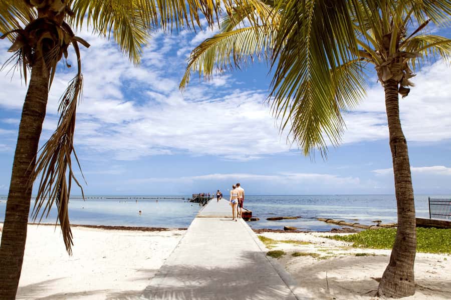 From Miami: Key West Day Tour by Motor Coach Bus - The road from Miami to the Florida Keys