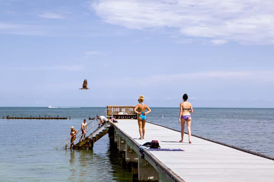 From Miami: Key West Day Tour by Motor Coach Bus - Hemingway’s House and the literary side of town