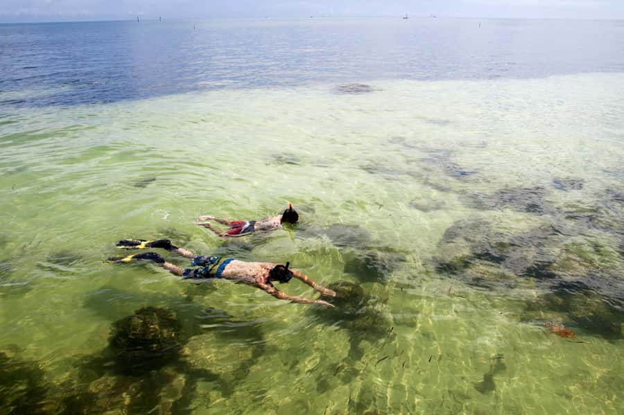 From Miami: Key West Day Tour by Motor Coach Bus - Snorkeling and glass-bottom boats
