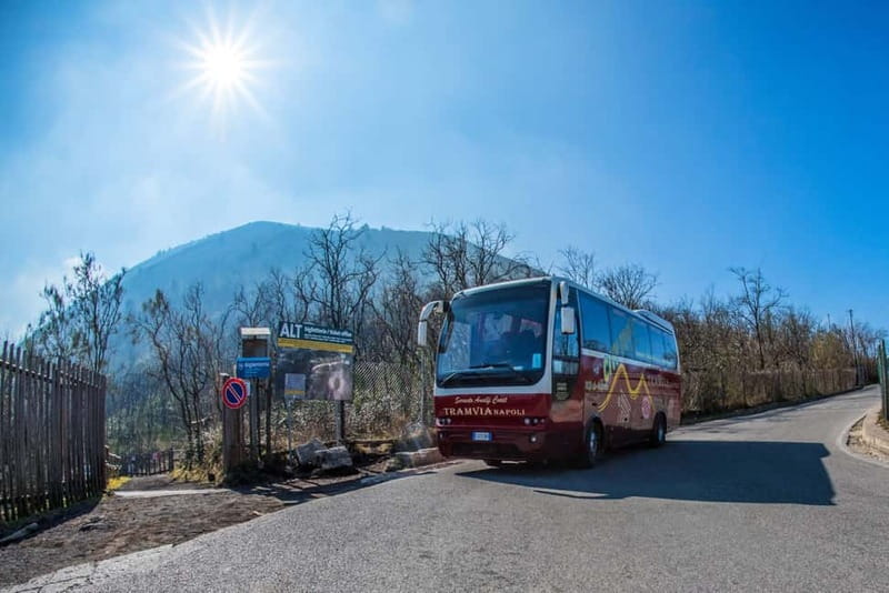 From Naples: Pompeii and Vesuvius by Bus - Why this bus trip works from Naples