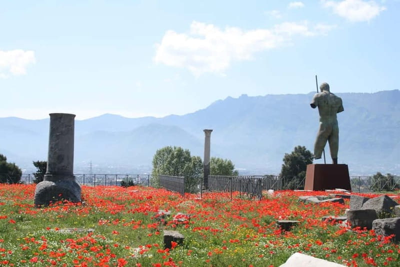 From Naples: Pompeii and Vesuvius by Bus - The climb toward Mount Vesuvius
