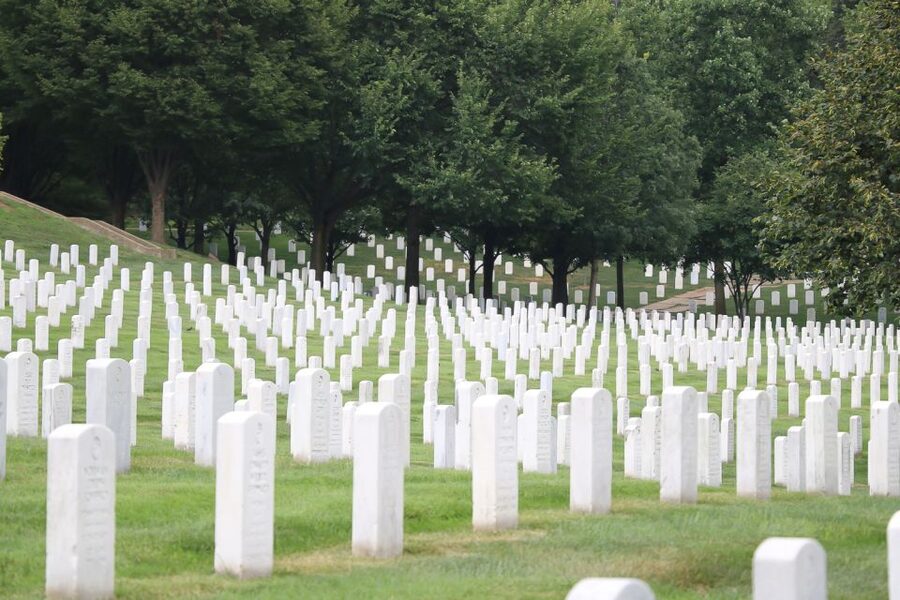From NYC: Guided Day Trip to Washington DC by Van or Bus - What this New York to Washington day trip really offers