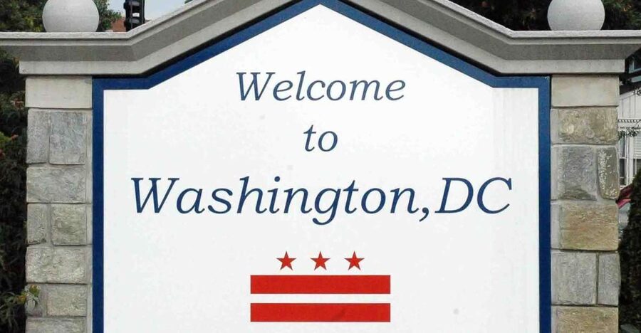 From NYC: Guided Day Trip to Washington DC by Van or Bus - Guides, languages, and group style