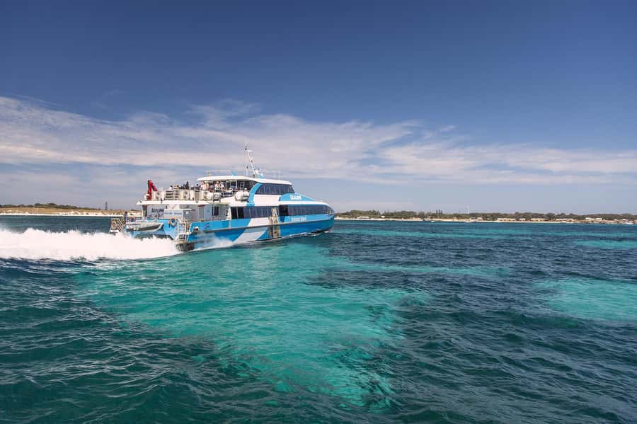 From Perth or Fremantle: Rottnest Island Ferry and Bus Tour - Why this Rottnest day trip works