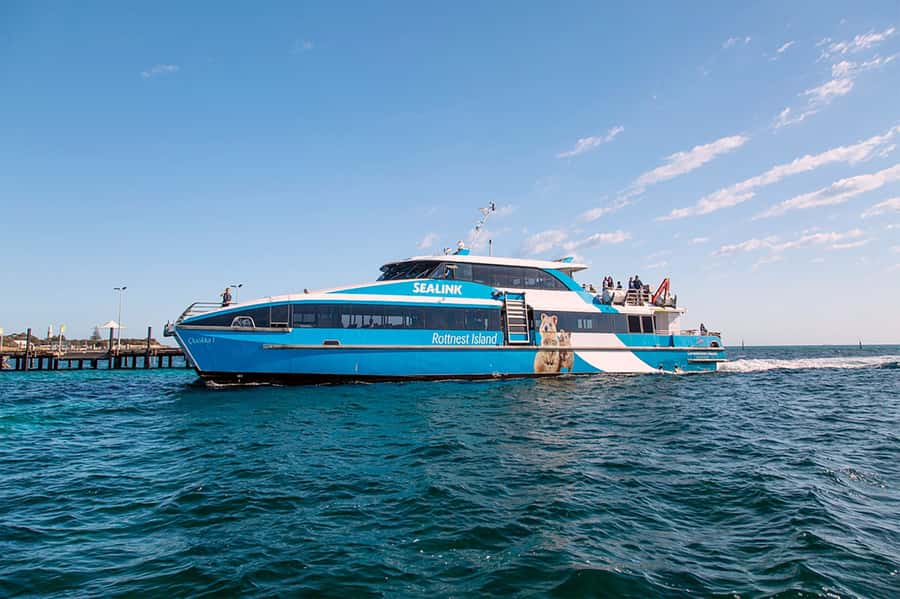 From Perth or Fremantle: Rottnest Island Ferry and Bus Tour - Should you book the SeaLink ferry and bus tour?