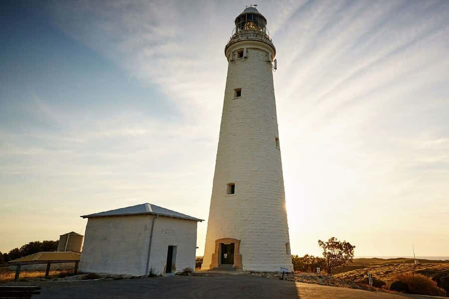 From Perth or Fremantle: Rottnest Island Ferry and Bus Tour - Free time, food, and the limits of one day