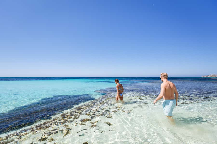 From Perth: Rottnest Island Ferry & Bus Day Tour - Key points at a glance