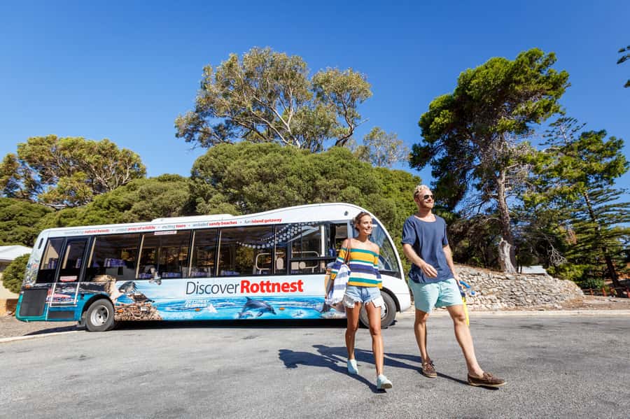 From Perth: Rottnest Island Ferry & Bus Day Tour - What the 90-minute coach tour covers