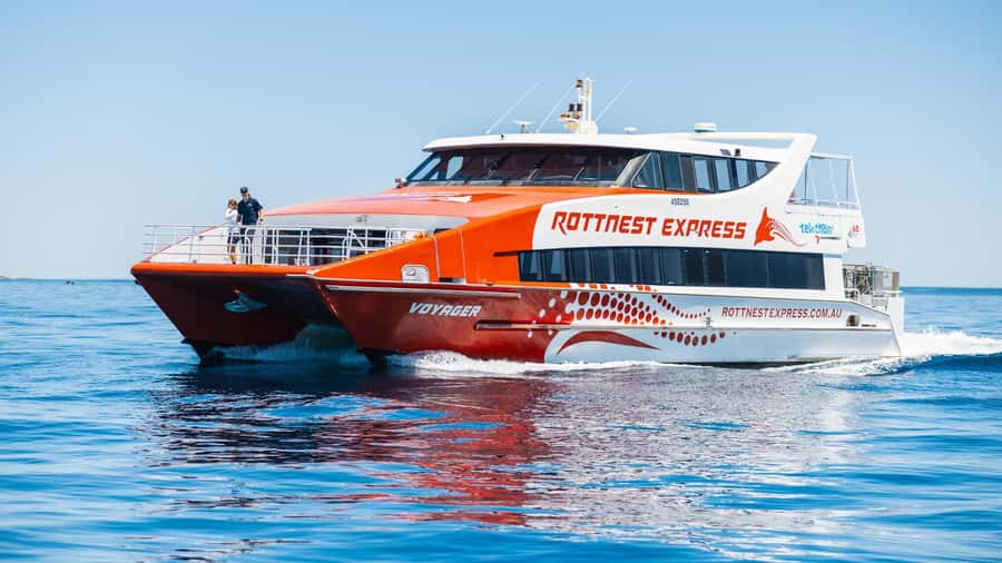 From Perth: Rottnest Island Ferry & Bus Day Tour - Should you book it?
