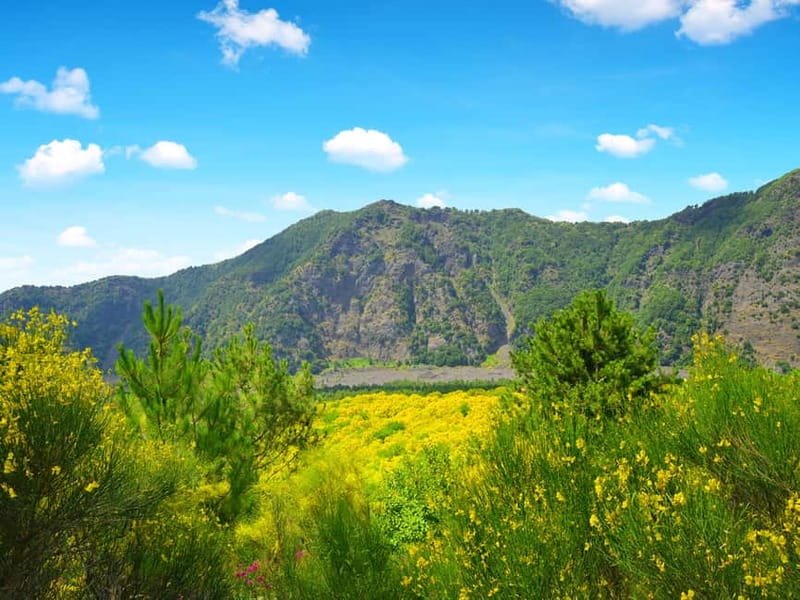 From Pompeii: Mount Vesuvius Hike & Tour by Bus - The gravel path to the volcanic rim