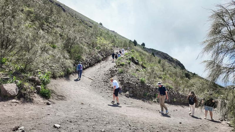 From Pompeii: Mount Vesuvius with bus, ticket and audioguide - Practical advice before you book