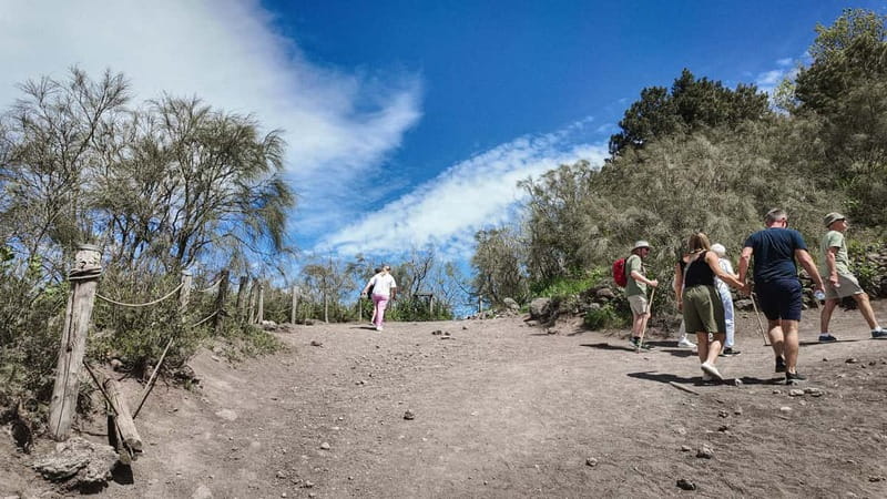 From Pompeii: Mount Vesuvius with bus, ticket and audioguide - Should you book the Pompeii to Vesuvius bus?