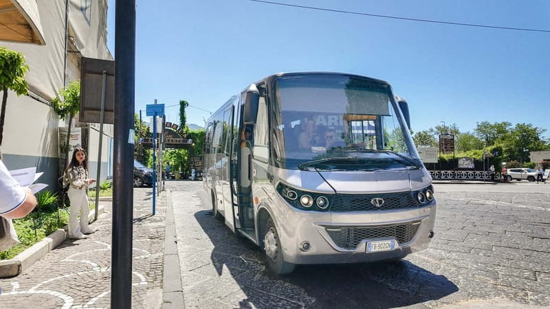 From Pompeii: Mount Vesuvius with bus, ticket and audioguide - The 45-minute ride up Vesuvius