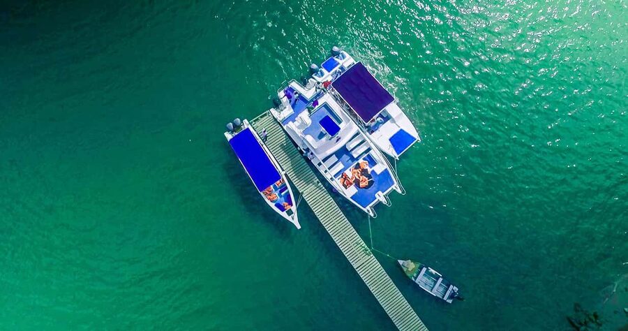 From Punta Cana: Samana Full Day Trip by Bus and Boat - Why this day reaches beyond Punta Cana