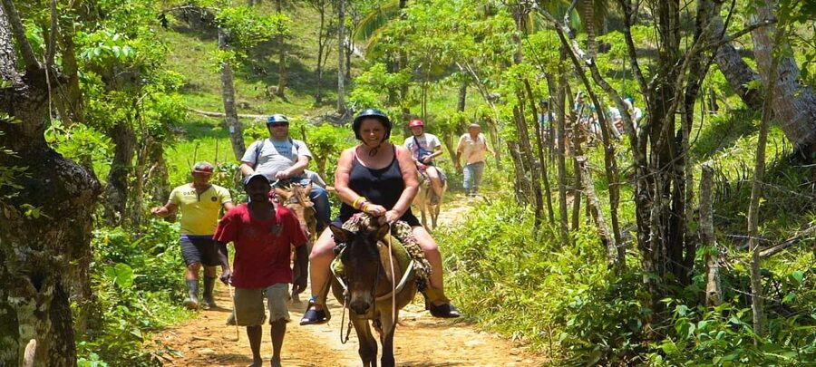 From Punta Cana: Samana Full Day Trip by Bus and Boat - Cayo Levantado, the final reward