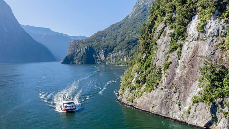 From Queenstown: Coach, Farm Tour & Milford Nature Cruise - Te Anau farm life, sheepdogs, and morning tea