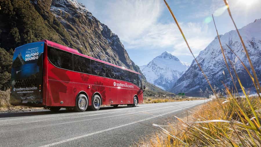 From Queenstown: Coach, Farm Tour & Milford Nature Cruise - Lunch, drinks, and what you actually need to pack