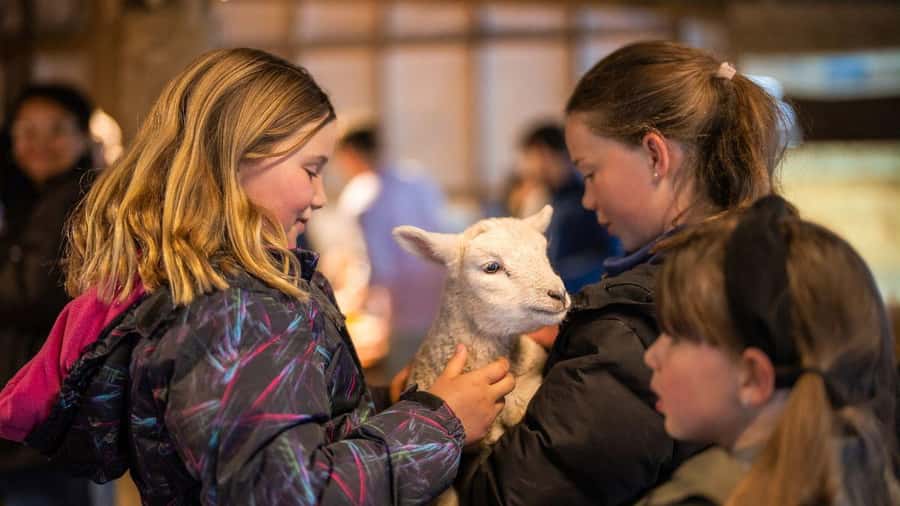From Queenstown: Coach, Farm Tour & Milford Nature Cruise - Weather, cancellations, and flexible planning