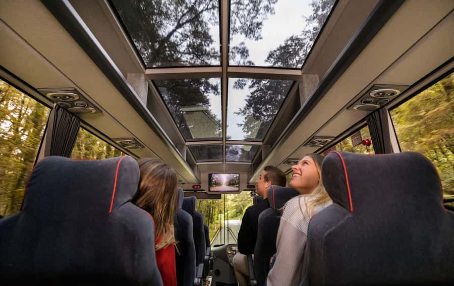 From Queenstown: Milford Sound Coach, Cruise, Scenic Flight - The early Queenstown start and Milford Road