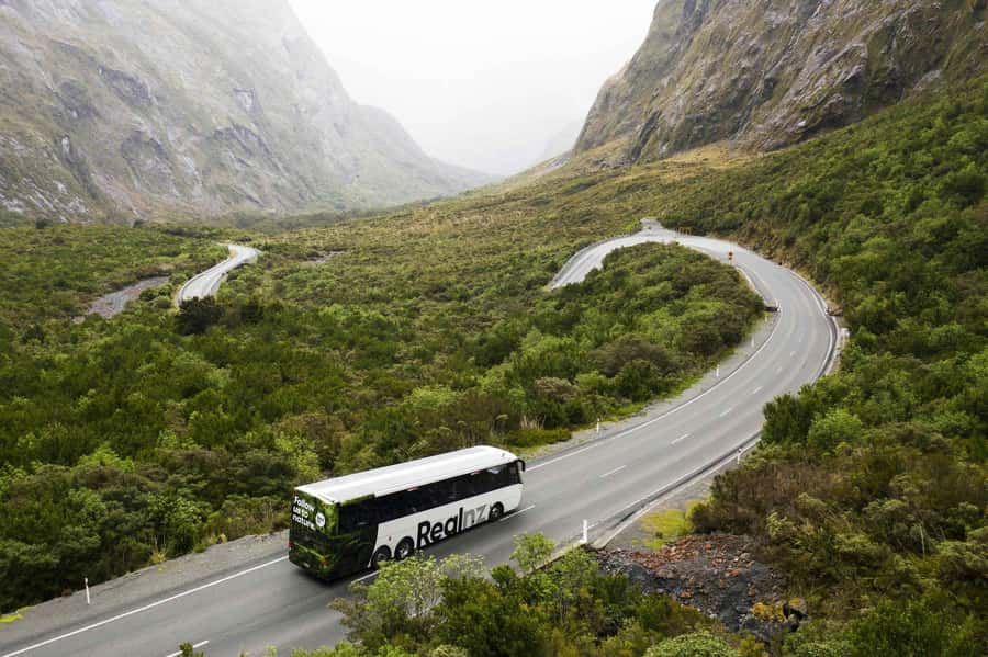 From Queenstown: Milford Sound Cruise and Coach Day Tour - Te Anau gives you the first useful break
