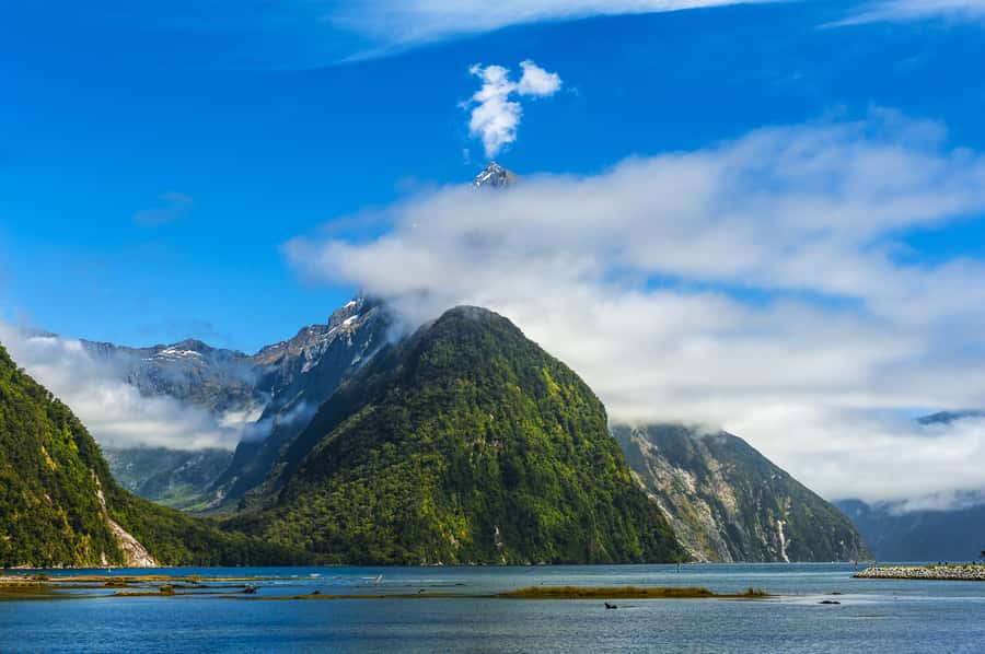 From Queenstown Milford Sound Cruise & Glass-Roof Coach Tour - Mirror Lakes and the Eglinton Valley