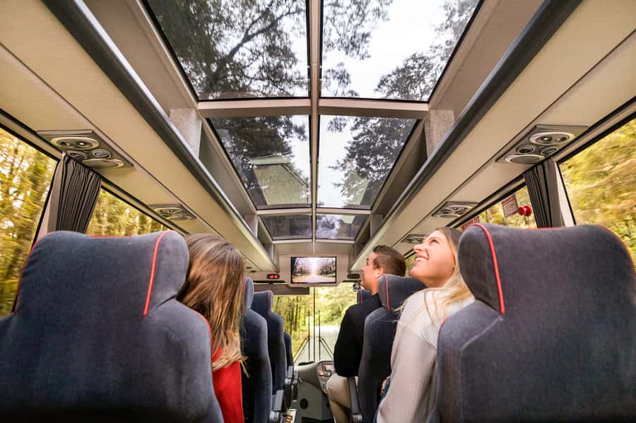 From Queenstown: Milford Sound Day Trip on Premium Coach - Why this is the easy way to reach Milford Sound
