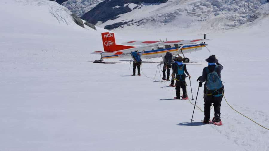 From Queenstown: Mount Cook Heli-Hike and Bus Tour Combo - High Country Salmon and Jackson Orchards