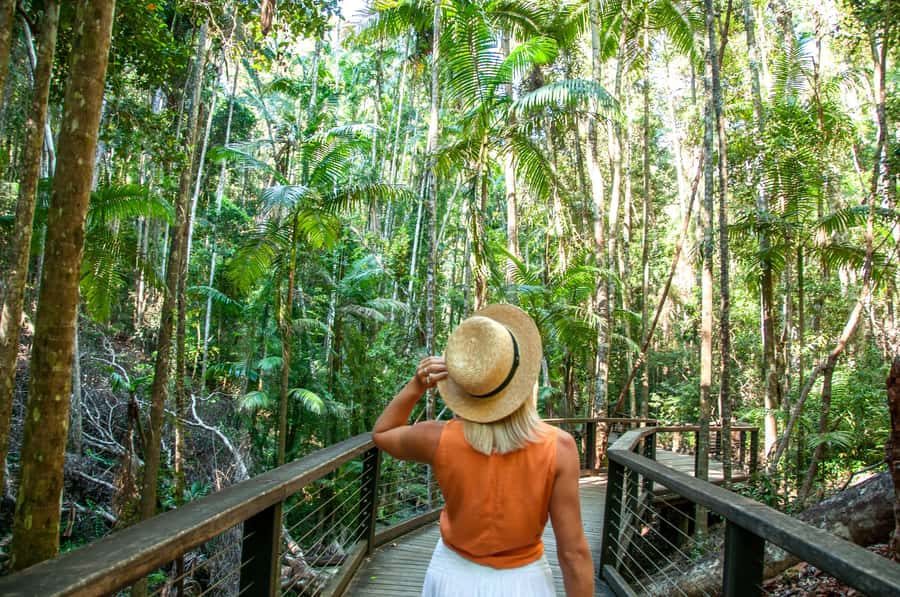 From Rainbow Beach: K'gari Fraser Island Full-Day Coach Tour - Who should book this one-day tour?