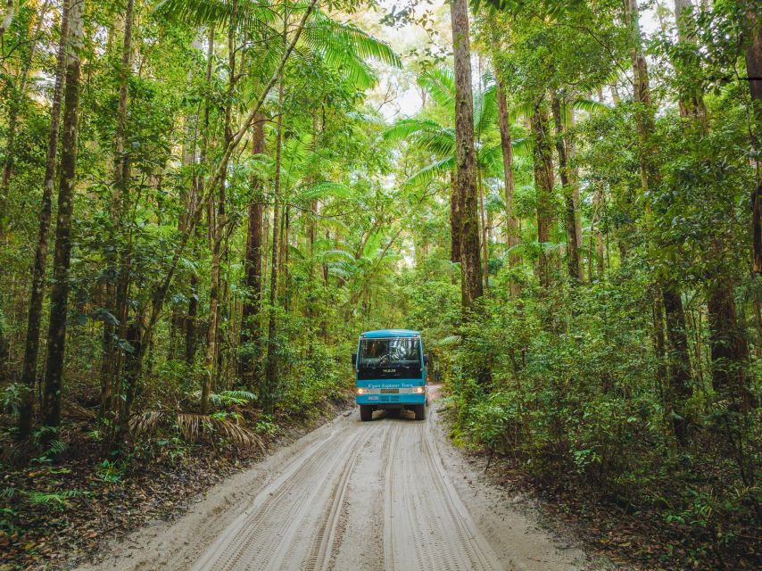 From Rainbow Beach: K'gari Fraser Island Full-Day Coach Tour - The Maheno Shipwreck and 75 Mile Beach