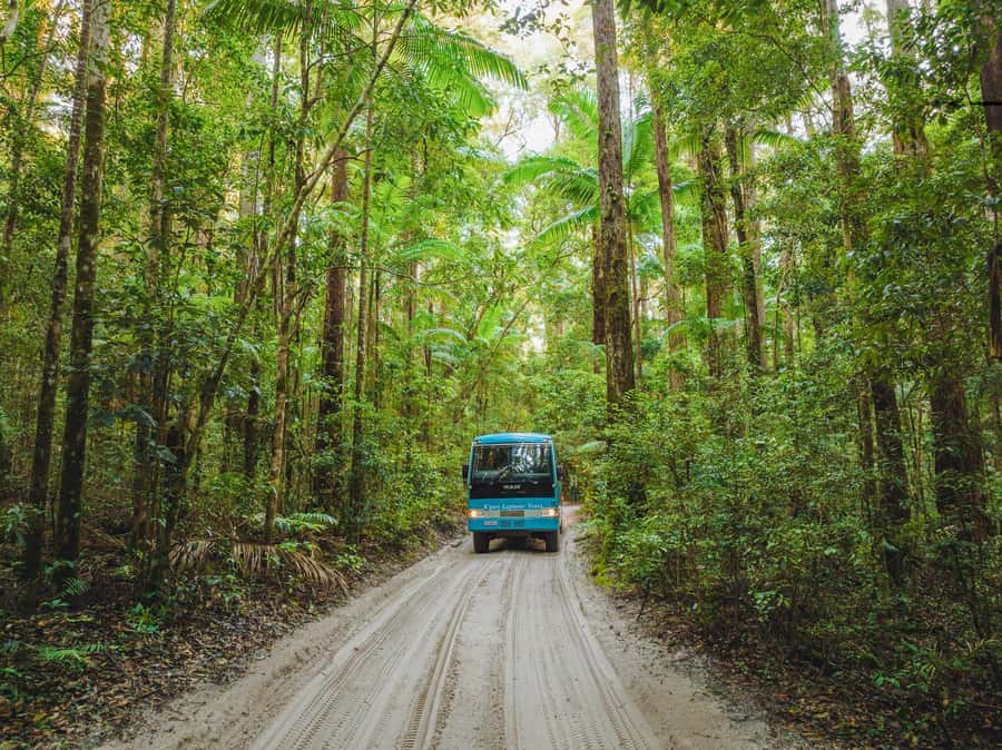 From Rainbow Beach: K'gari Fraser Island Full-Day Coach Tour - Eli Creek and a choice of water time