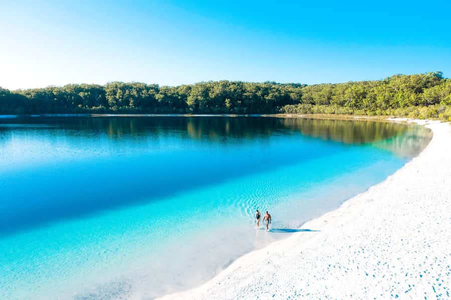 From Rainbow Beach: K'gari Fraser Island Full-Day Coach Tour - Lunch at K’gari Beach Resort