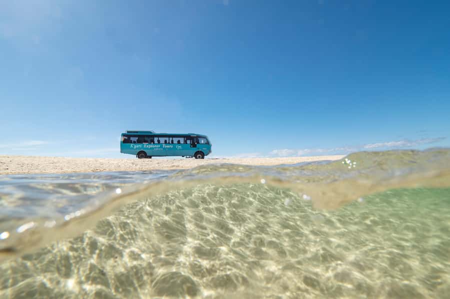 From Rainbow Beach: K'gari Fraser Island Full-Day Coach Tour - What the 4WD coach is really like