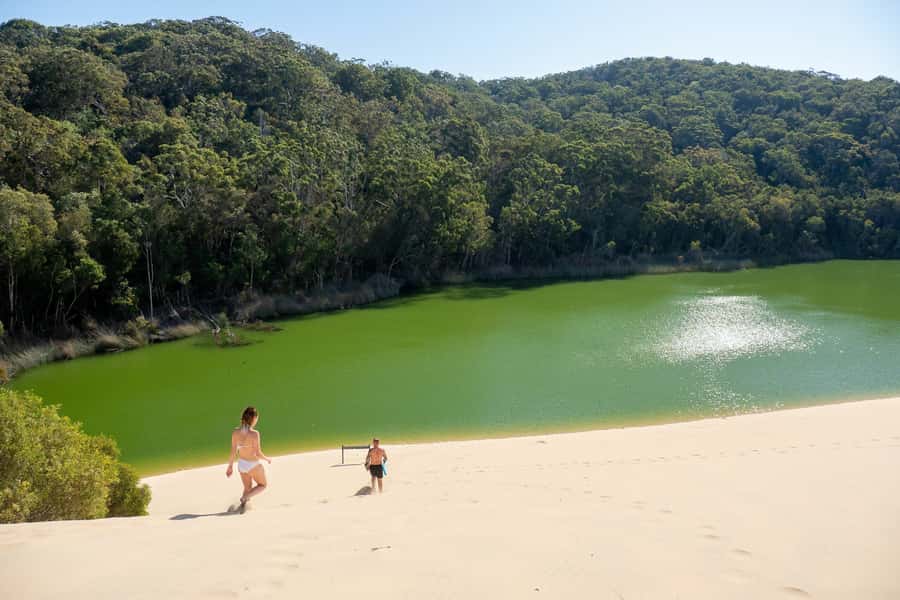 From Rainbow Beach: K'gari, Fraser Island Two-Day Coach Tour - What $456 includes, and what it does not