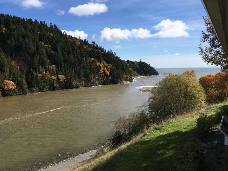 From Saint John: Bay of Fundy Bus Trip for Cruise Passengers - Key points to know before you book