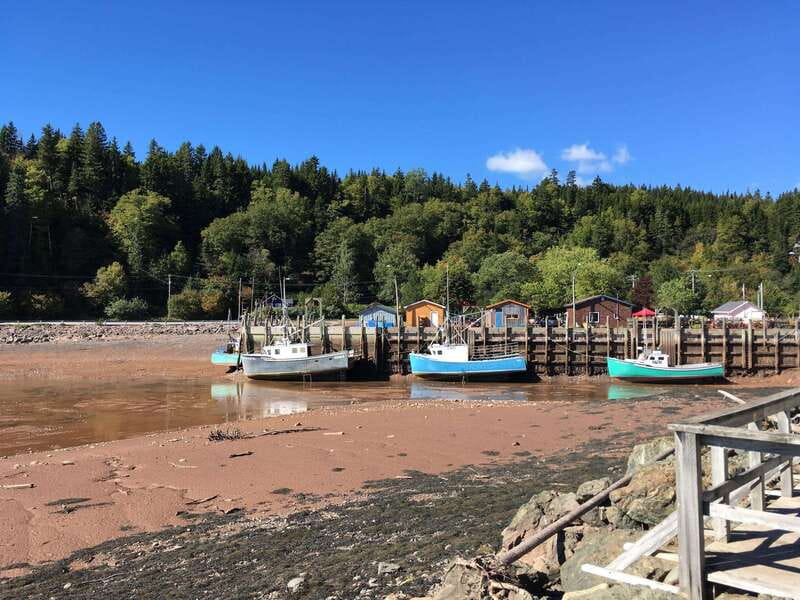From Saint John: Bay of Fundy Bus Trip for Cruise Passengers - Why the Reversing Falls make a strong opening