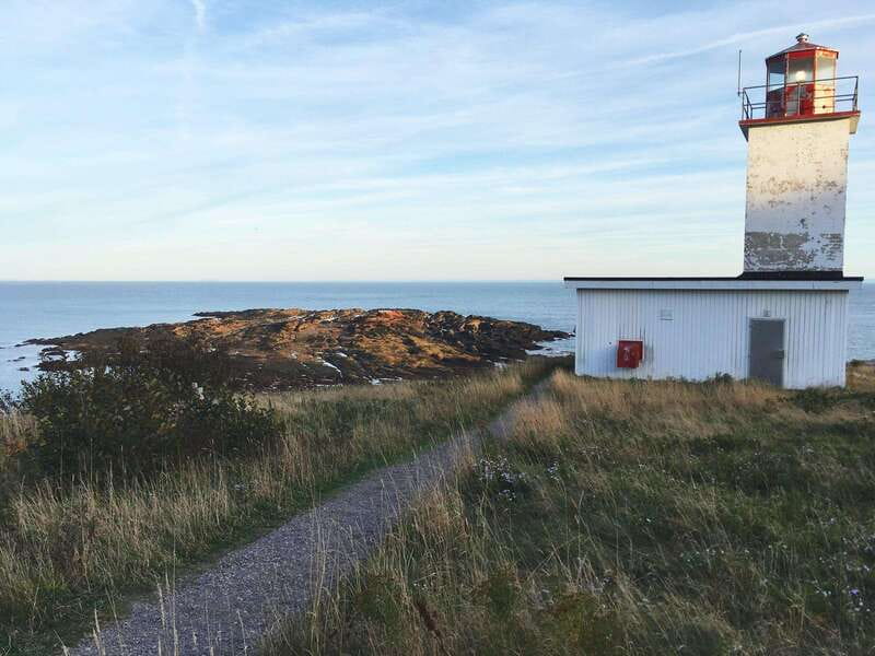 From Saint John: Bay of Fundy Bus Trip for Cruise Passengers - Saint John City Market is a useful final stop